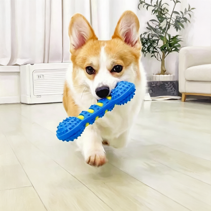 Interactive Double-Layer Bone Dog Toy with Sound