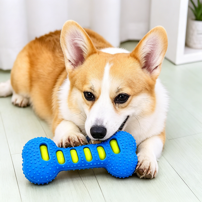 Interactive Double-Layer Bone Dog Toy with Sound